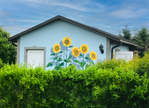 Sonnenblumen die immer blühen auf Gartenhaus
