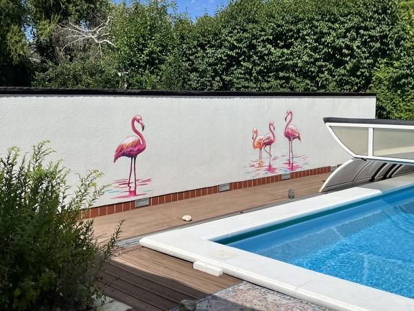 Flamingos